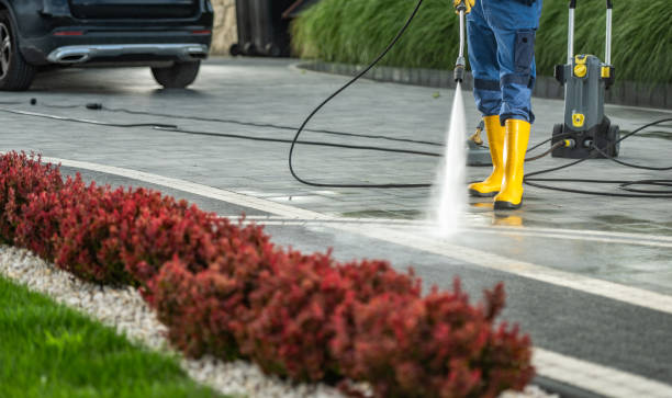 Best Gutter Cleaning  in Leesville, LA